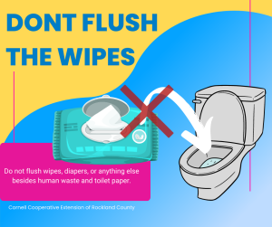 Don't Flush the Wipes