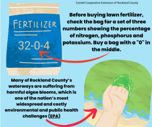 Lawn Fertilizer Advice